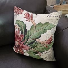 Cushion