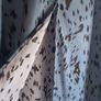 Animal Print front split skirt Image 3
