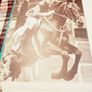 1969. The Show Jumping Book. Genevieve Murphy. Image 4