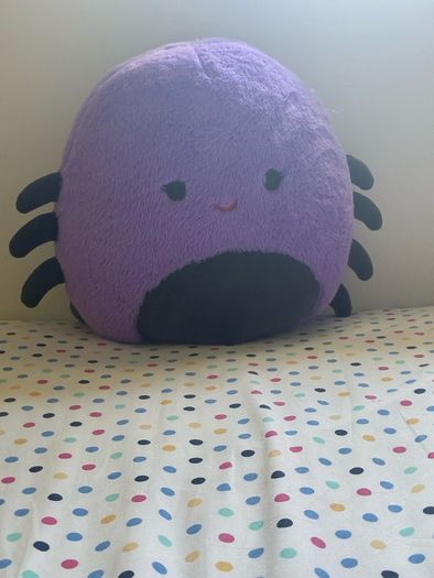 spider teddy