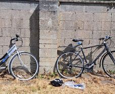 BICYCLES: Ladies and gents