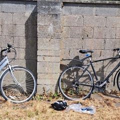 BICYCLES: Ladies and gents