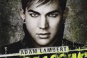 Free Postage! Adam Lambert. Trespassing. CD.