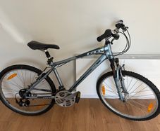 Used adult bicycle