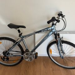 Used adult bicycle