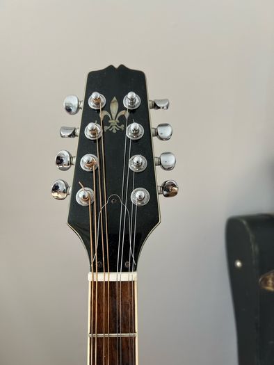 Trinity College Irish Bouzouki