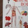 Human body discovery Image 3