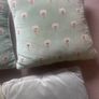 Assorted Duck Egg blue/green cushions Image 2