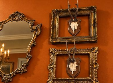 Vintage 1980s muntjac skull taxidermy mounts
