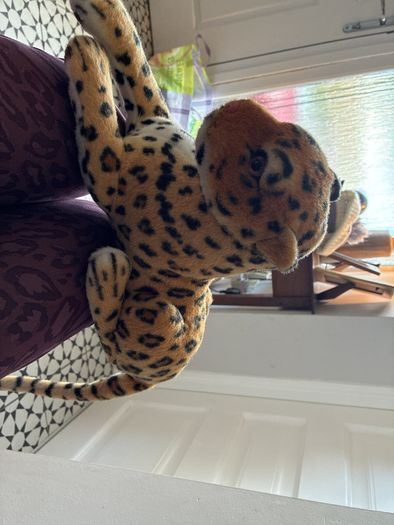 Teddys