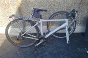 bike trek needs fixing