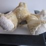 Russ Berrie Edward Bear Collectible Plush Teddy Bear Soft Toy Image 8