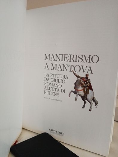 Manierismo A Mantova: La Pittura Da Giulio Romano Alleta Di Rubens by Sergio Marinelli (RB195)