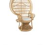 Peacock Chair Image 4