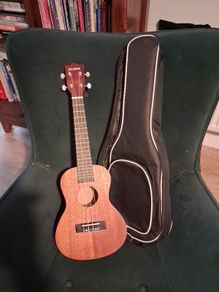 aloha ukelele and case