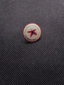 Remember Those Who Served - Lapel Pin Badge