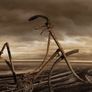 Limited edition fine art print by artist Image 4