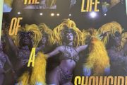 Taylor Swift the Life of a Showgirl (Lovely Bouquet Golden Vinyl)