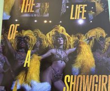 Taylor Swift the Life of a Showgirl (Lovely Bouquet Golden Vinyl)