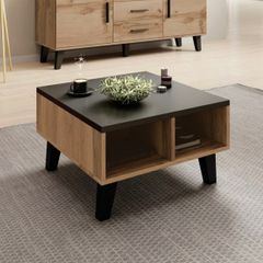 Modern low coffee table