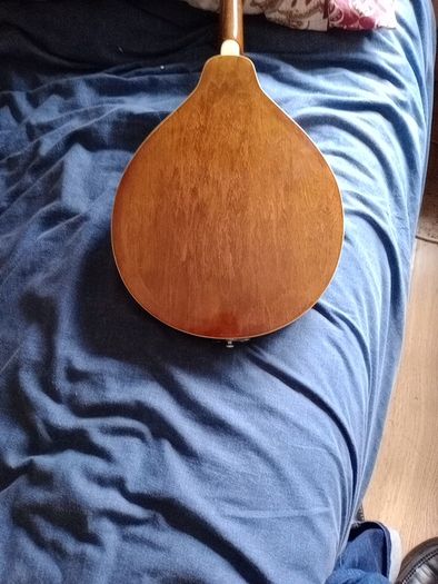 Palmer mandolin P3W  late 70s r early 80s and gigbag