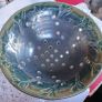 A& J Young,Gresham, Norfolk/ studio pottery fruit strainer Image 2