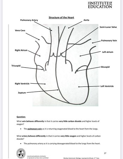 Leaving Cert Biology Institute Notes