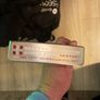Scotty cameron studio style Image 2