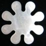 Antique 18th Century Mother of Pearl Armorial Game Token Image 2