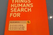 Weird Things Humans Search For