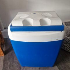 Portable electric cooler box