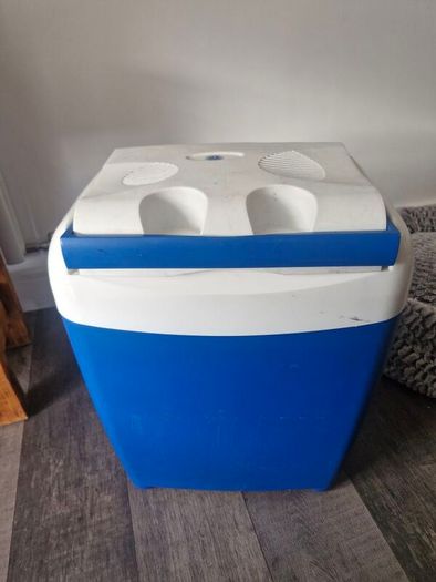 Portable electric cooler box