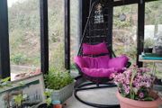 Summer Sale! Hanging Egg Chair Swing Ph2005