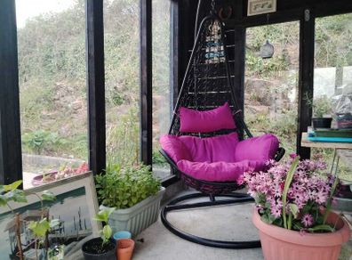 Summer Sale! Hanging Egg Chair Swing Ph2005