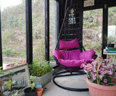 Hanging Swings Eggs Metal Frame Free Delivery