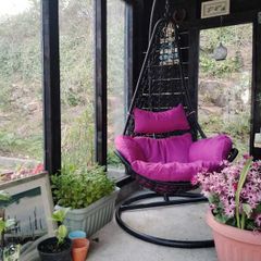 Hanging Swings Eggs Metal Frame Free Delivery