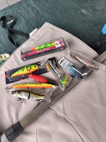 pike lures