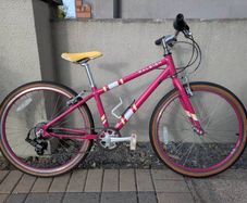 kids 24" Raleigh bike