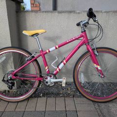 kids 24" Raleigh bike