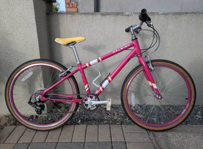 kids 24" Raleigh bike