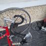bike old racer  needs fixing Image 2
