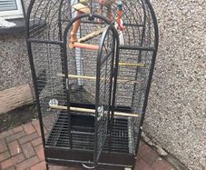 bird cage