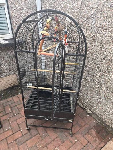 bird cage