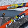 Raleigh Gecko Junior Mountain Bike Image 2