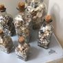 Sea shells in bottles Image 6