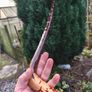 blackthorn walking stick Image 2
