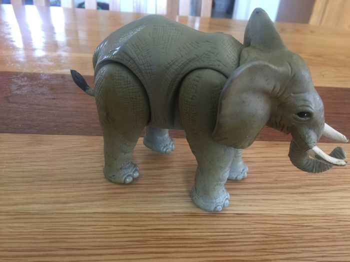heavy sturdy elephant
