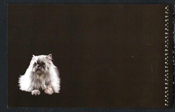 2014 Ireland Cats Commemorative Stamp Booklet Mint Never Hinged (MNH). Hibernian HB202. Photos of contents shown.