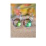 Silver Earrings with Sparkly Gems Image 2