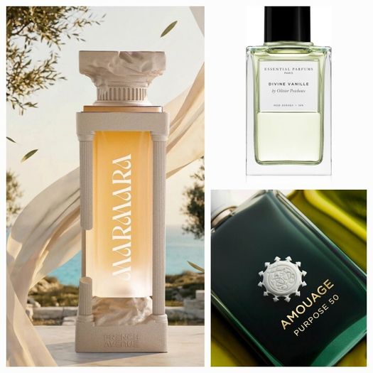 MARMARA by French Avenue  The Epitome of Masculine Power  Luxury